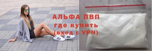 индика Баксан