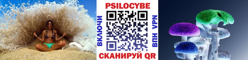 гидра tor маркетплейс клад Галлюциногенные грибы MAGIC MUSHROOMS Бузулук